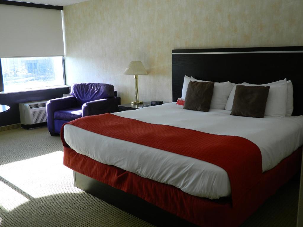 Suite de Luxe (6 Adultes)